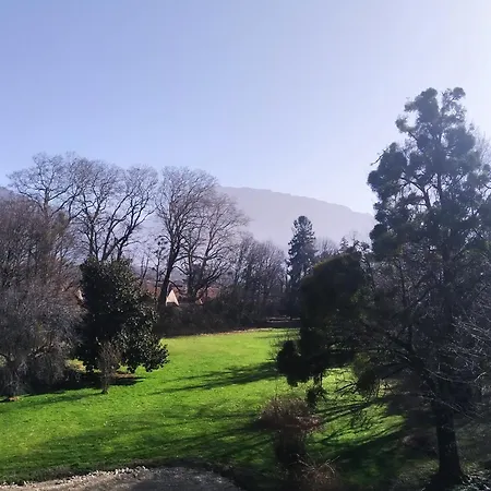 Domaine Clairfontaine - Junior